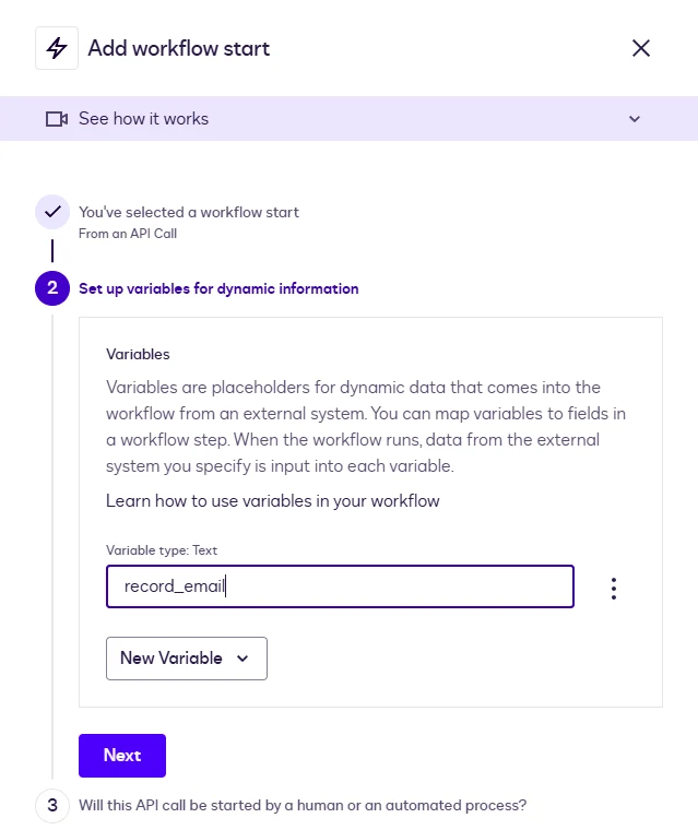 The Add workflow start panel: From an API Call with a Text variable named record_email.